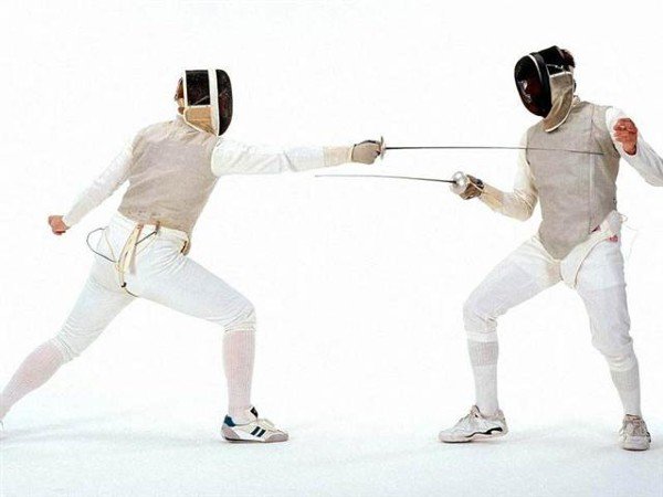 Fencing Contractors